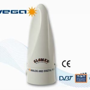 Mobile Omnidirectional TV, Analog and Digital TV, DVB-T